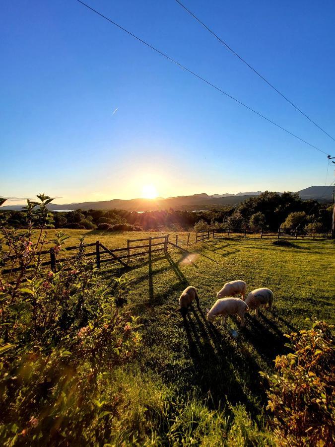 Oaklane Glamping Cabins Kenmare Luaran gambar
